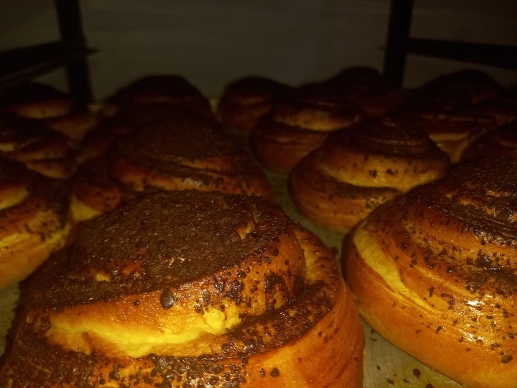 Lengua de Suegra Bolsa